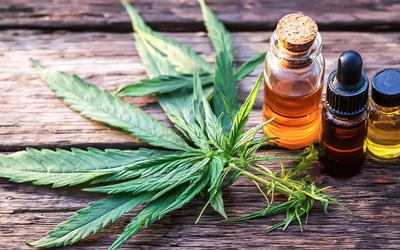 Canábis medicinal alivia a dor na endometriose